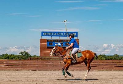 Seneca Polo Club Practice Hot August Morning August 7th, 2022