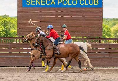 Seneca Polo May 8 and 9, 2021