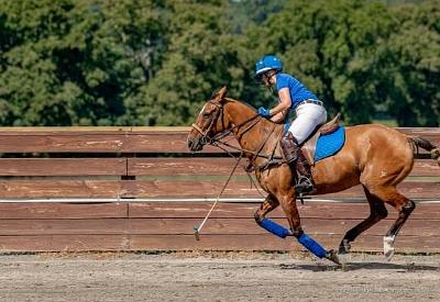 Seneca Polo Club Under the Lights & Sunday Morning September 2nd & 4th, 2022